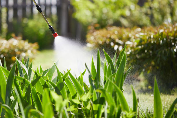 24/7 Emergency Mosquito Control experts in Granite City, IL