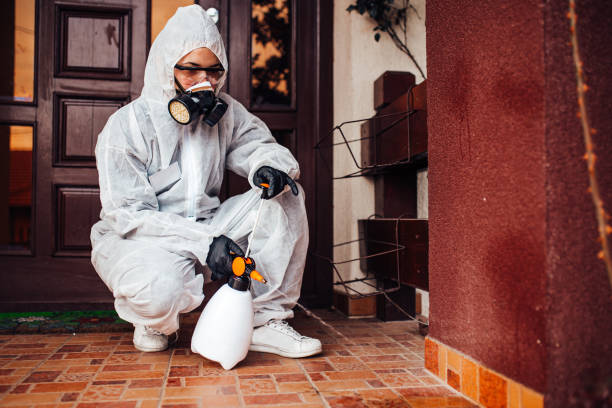 Reliable Mosquito Control contractor in Granite City, IL by Show Me Pest Control