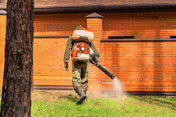 Top rated local Mosquito Control specialists in Granite City, IL